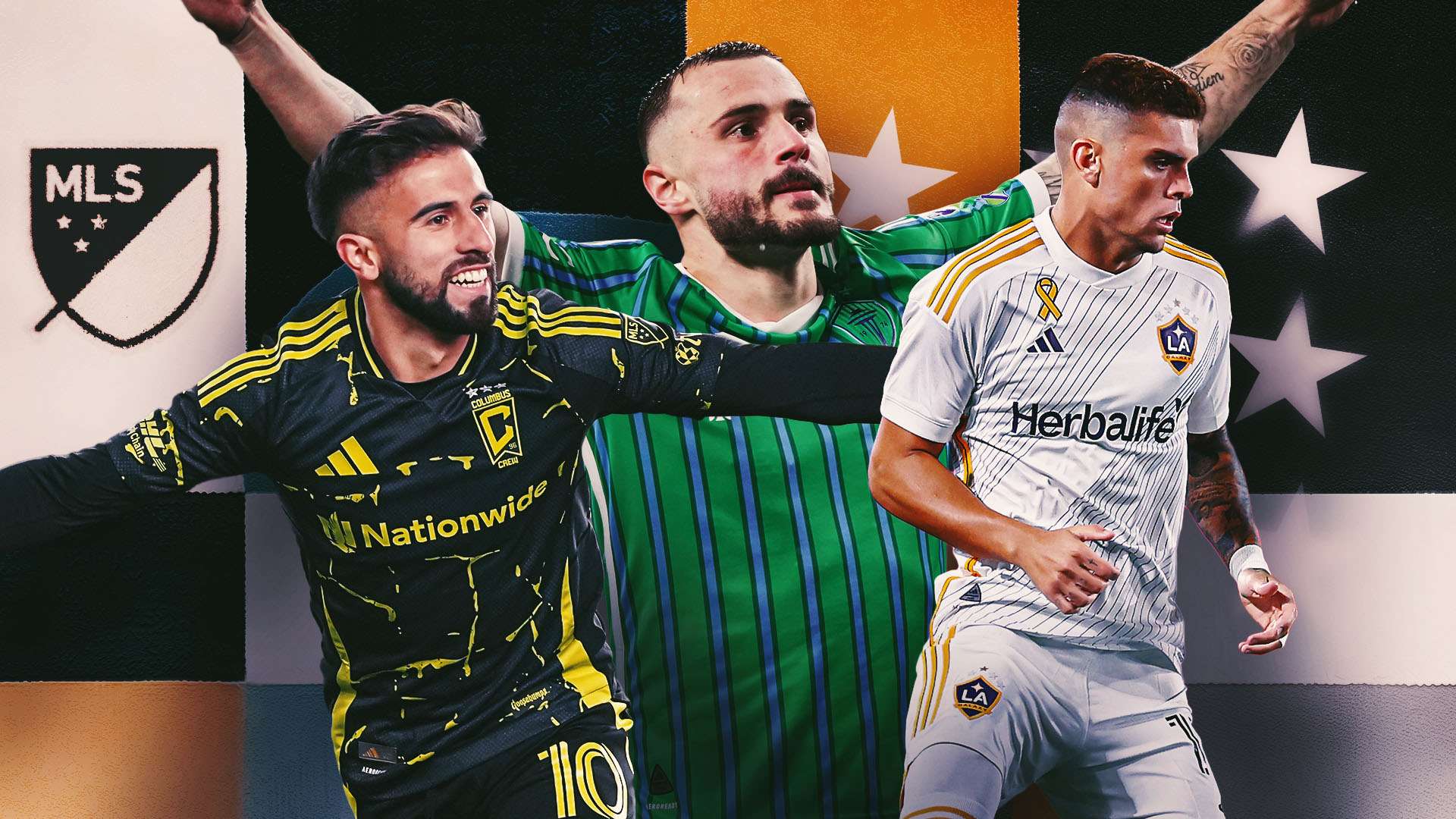 的冠军荣誉 的冠军荣誉