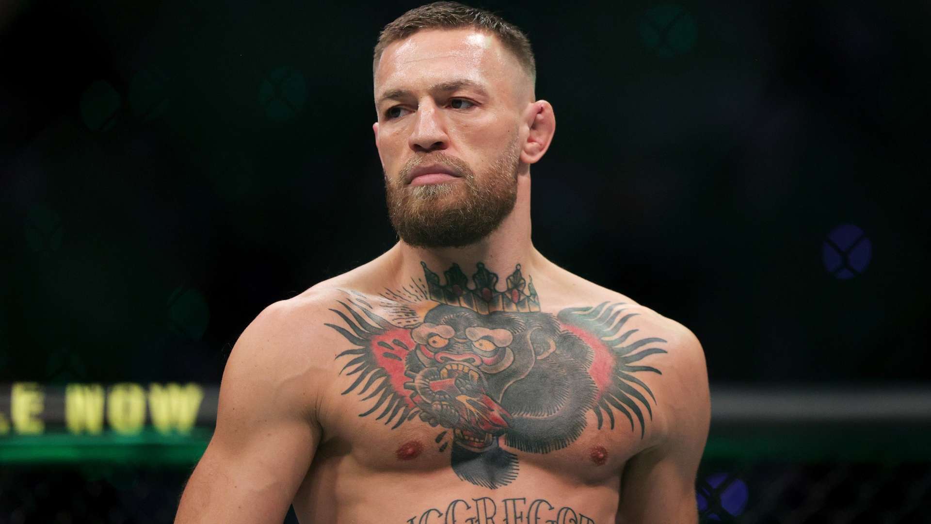 一个不小的 一个不小的