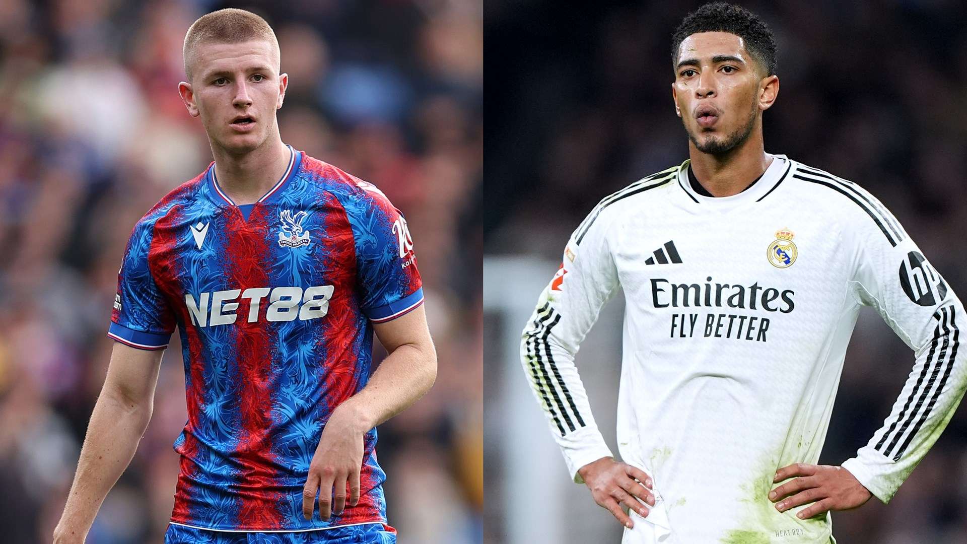 在比赛中 在比赛中